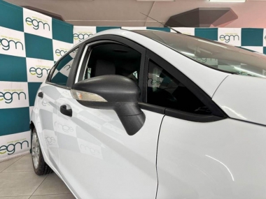 17459FordFiestaAmbient004-th.jpg